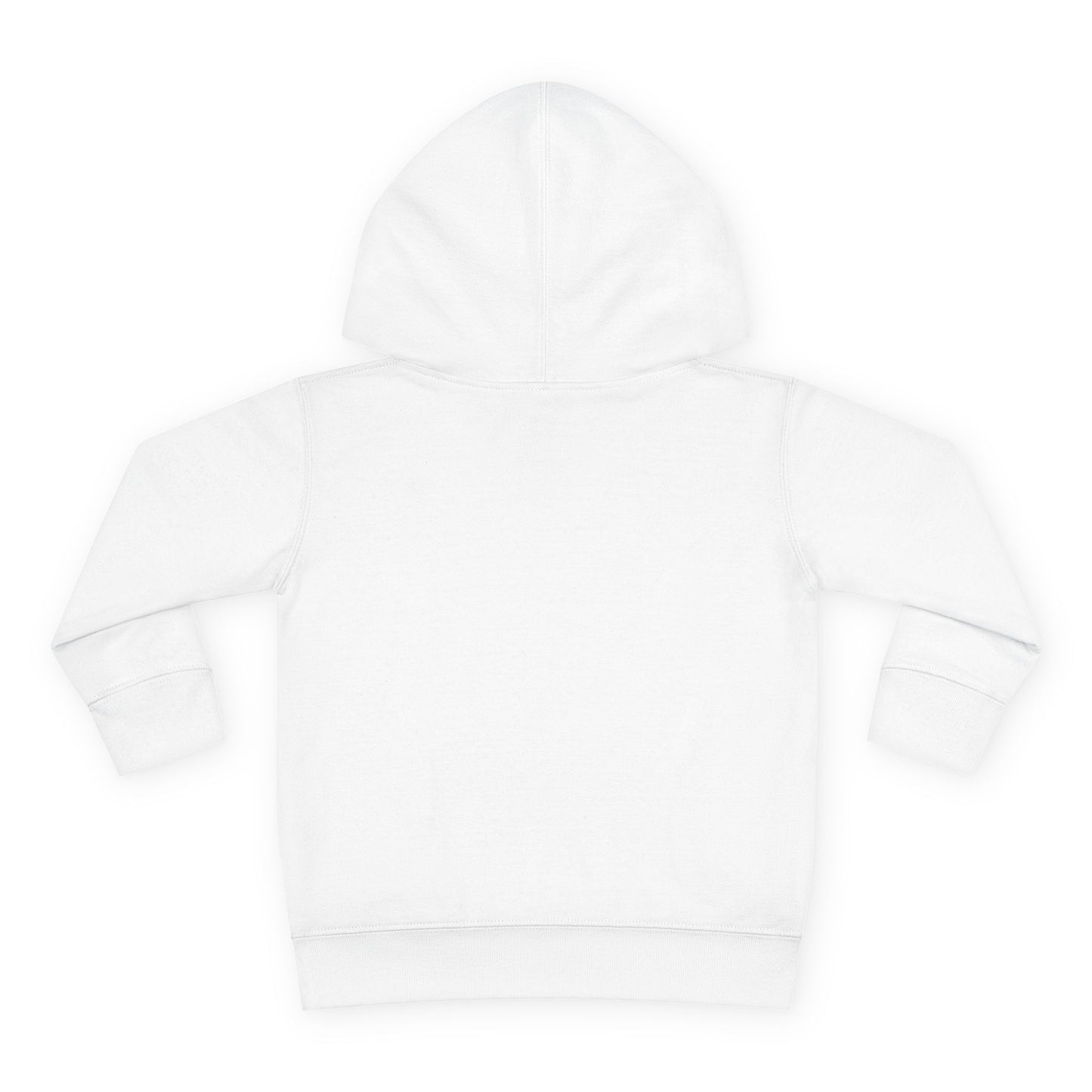 Big Bro Fleece Hoodie