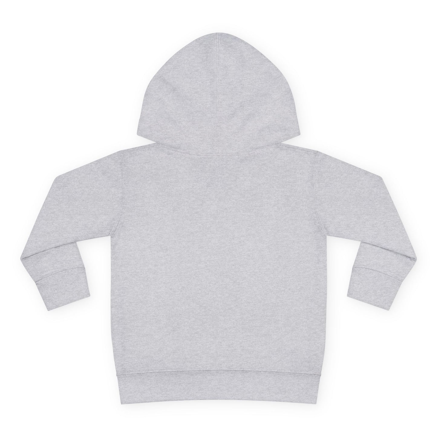 Big Bro Fleece Hoodie